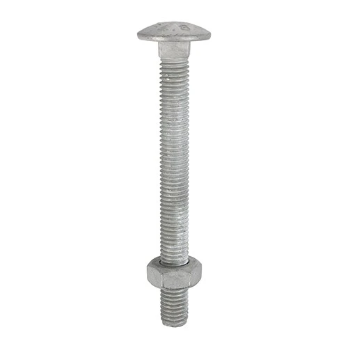 TIMCO Carriage Bolts & Hex Nuts - Hot Dipped Galvanised M12 x 100mm (25 Pack)