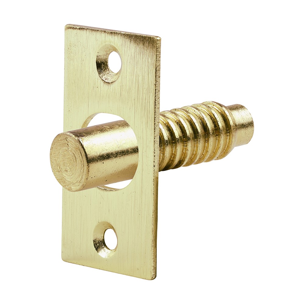 TIMCO Hinge Bolts - Electro Brass 48mm (2)