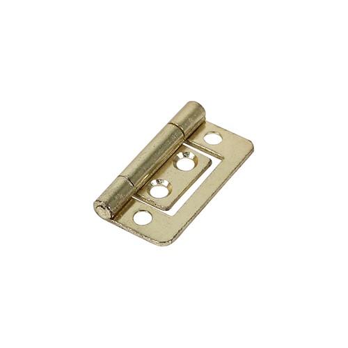 TIMCO Flush Hinge (105) - Electro Brass 38 x 28mm (2)