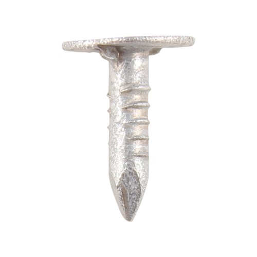 TIMCO Extra Large Head Clout Nails - Galvanised 50 x 3.00mm (0.5kg)