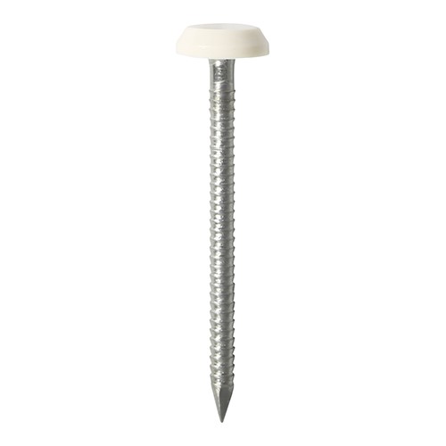 TIMCO Polymer Headed Nails - A4 Stainless Steel - White 40mm (100 Pack)