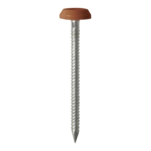 TIMCO Polymer Headed Nails - A4 Stainless Steel - Clay Brown 50mm (100 Pack)