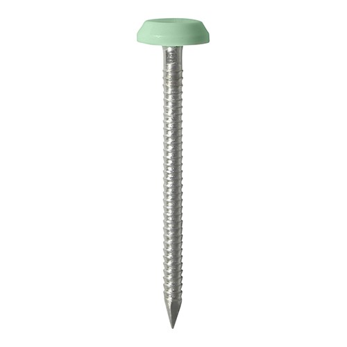 TIMCO Polymer Headed Nails - A4 Stainless Steel - Chartwell Green 65mm (100 Pack)