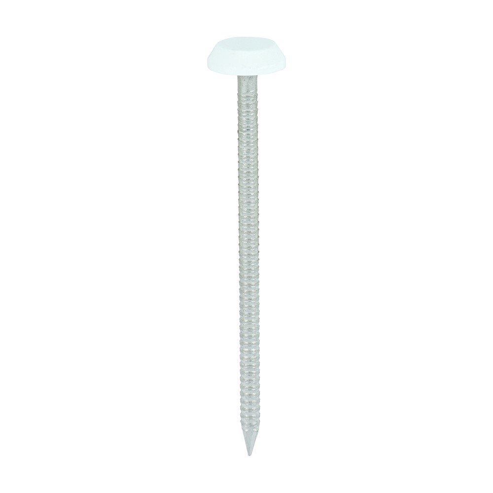 TIMCO Polymer Headed Nails - A4 Stainless Steel - White 65mm (100 Pack)