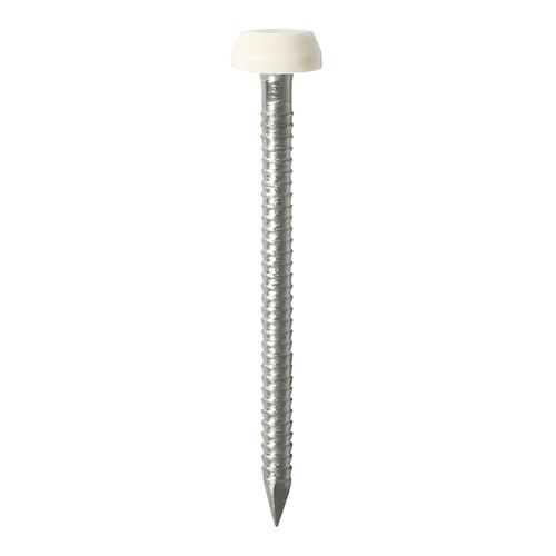 TIMCO Polymer Headed Pins - A4 Stainless Steel - White 25mm (250 Pack)