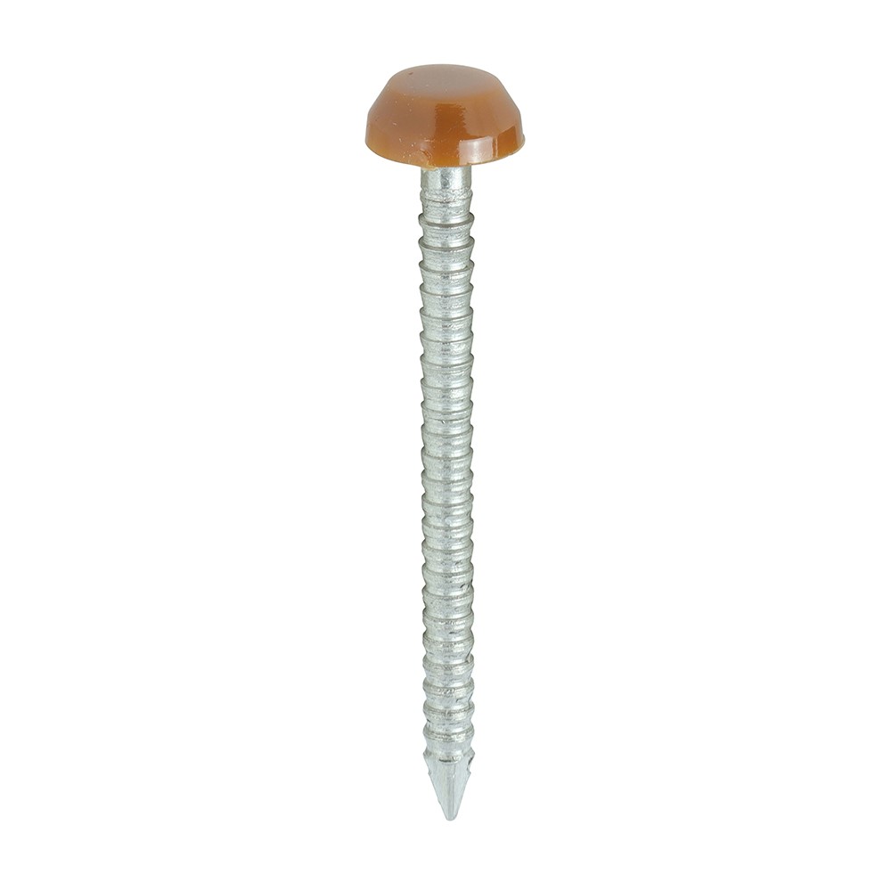 TIMCO Polymer Headed Pins - A4 Stainless Steel - Clay Brown 30mm (250 Pack)