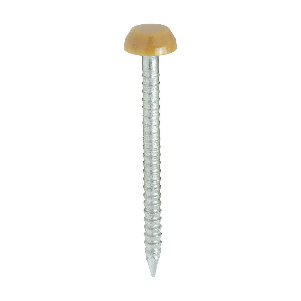 TIMCO Polymer Headed Pins - A4 Stainless Steel - Oak 30mm (250 Pack)