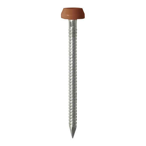 TIMCO Polymer Headed Pins - A4 Stainless Steel - Clay Brown 40mm (250 Pack)