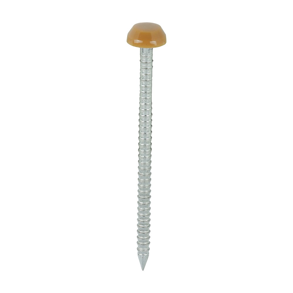 TIMCO Polymer Headed Pins - A4 Stainless Steel - Oak 40mm (250 Pack)