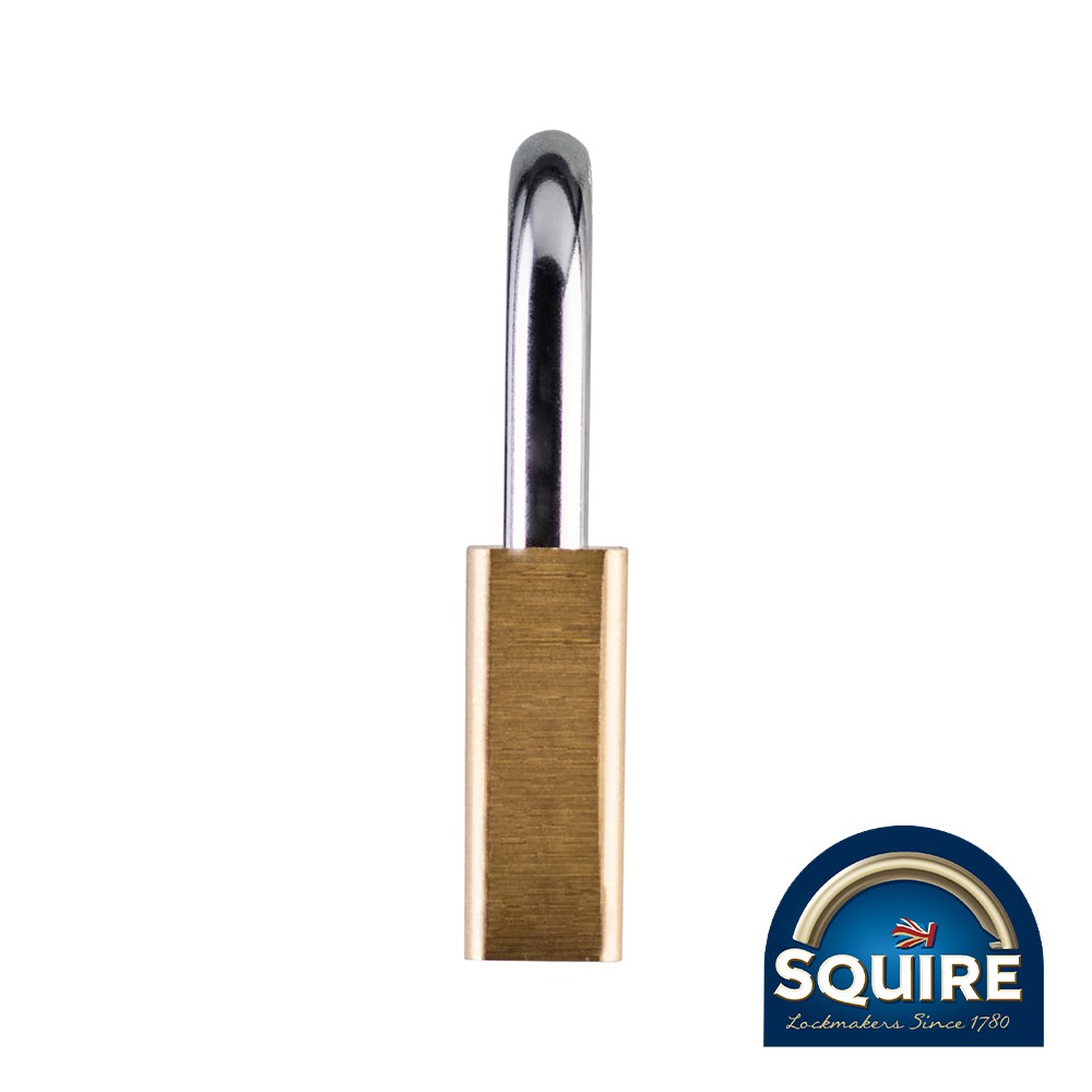 TIMCO Premium Brass Lion Padlock - LN60 60mm