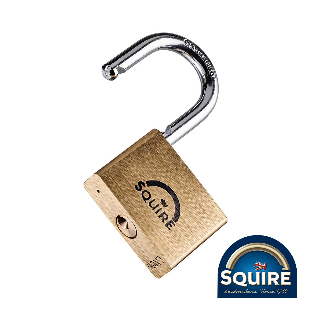 TIMCO Premium Brass Lion Padlock - LN60 60mm