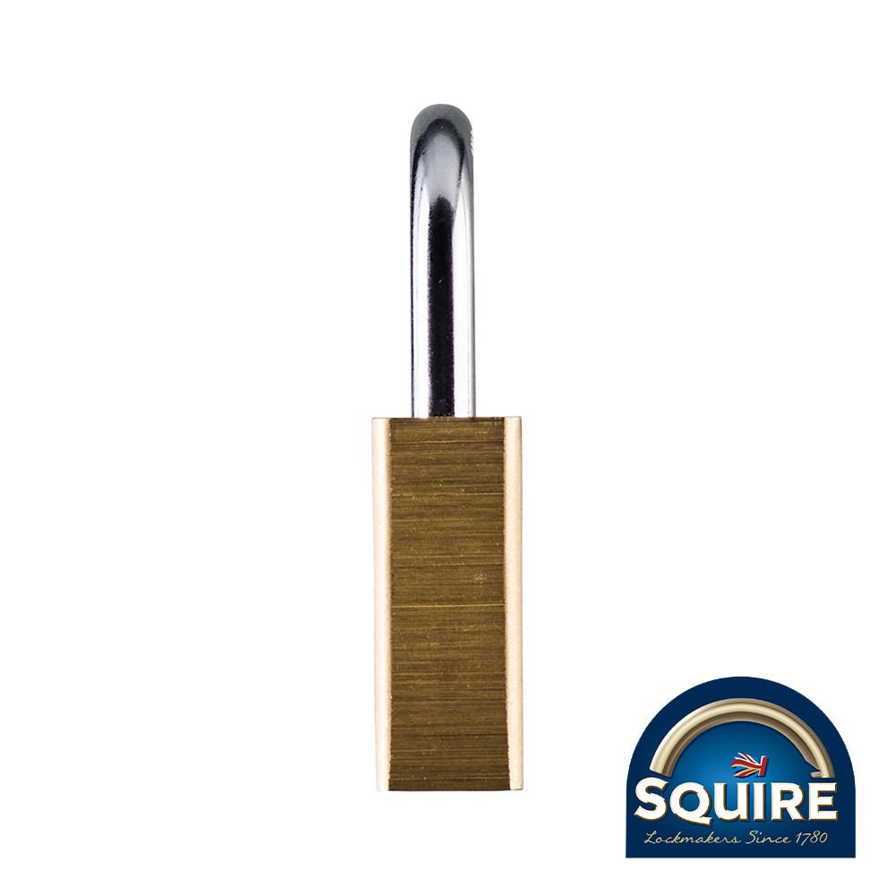 TIMCO Premium Brass Lion Padlock - Stainless Steel Shackle - LN4S 40mm